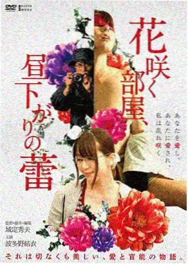 阿拉丁神灯电影 精灵的魔法